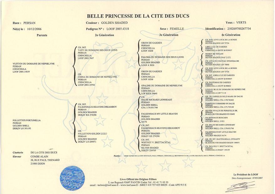 LOOF de French Kiss Persan Chinchilla