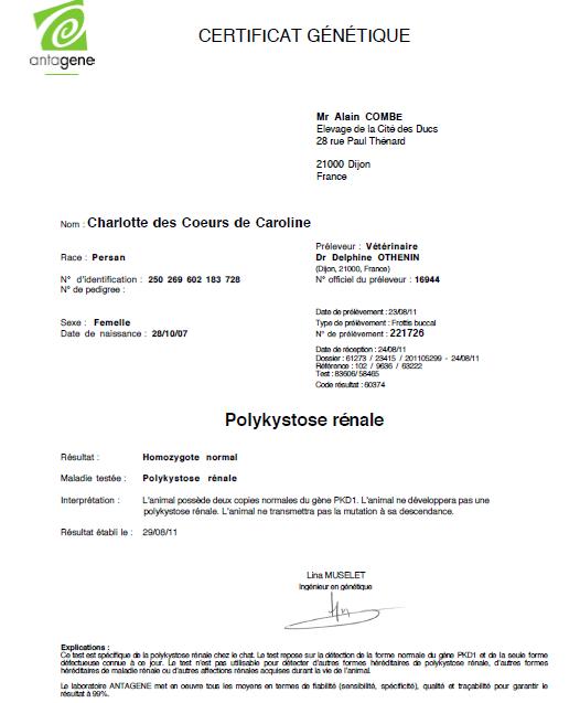 Test PKD de Charlotte