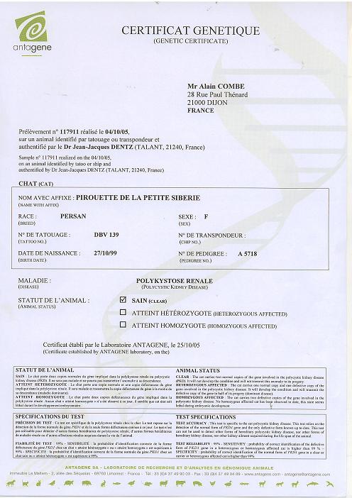 Test PKD de Duchesse