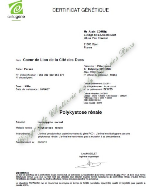 Test PKD de Coeur de Lion